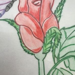 Meet your Posher, Rosa